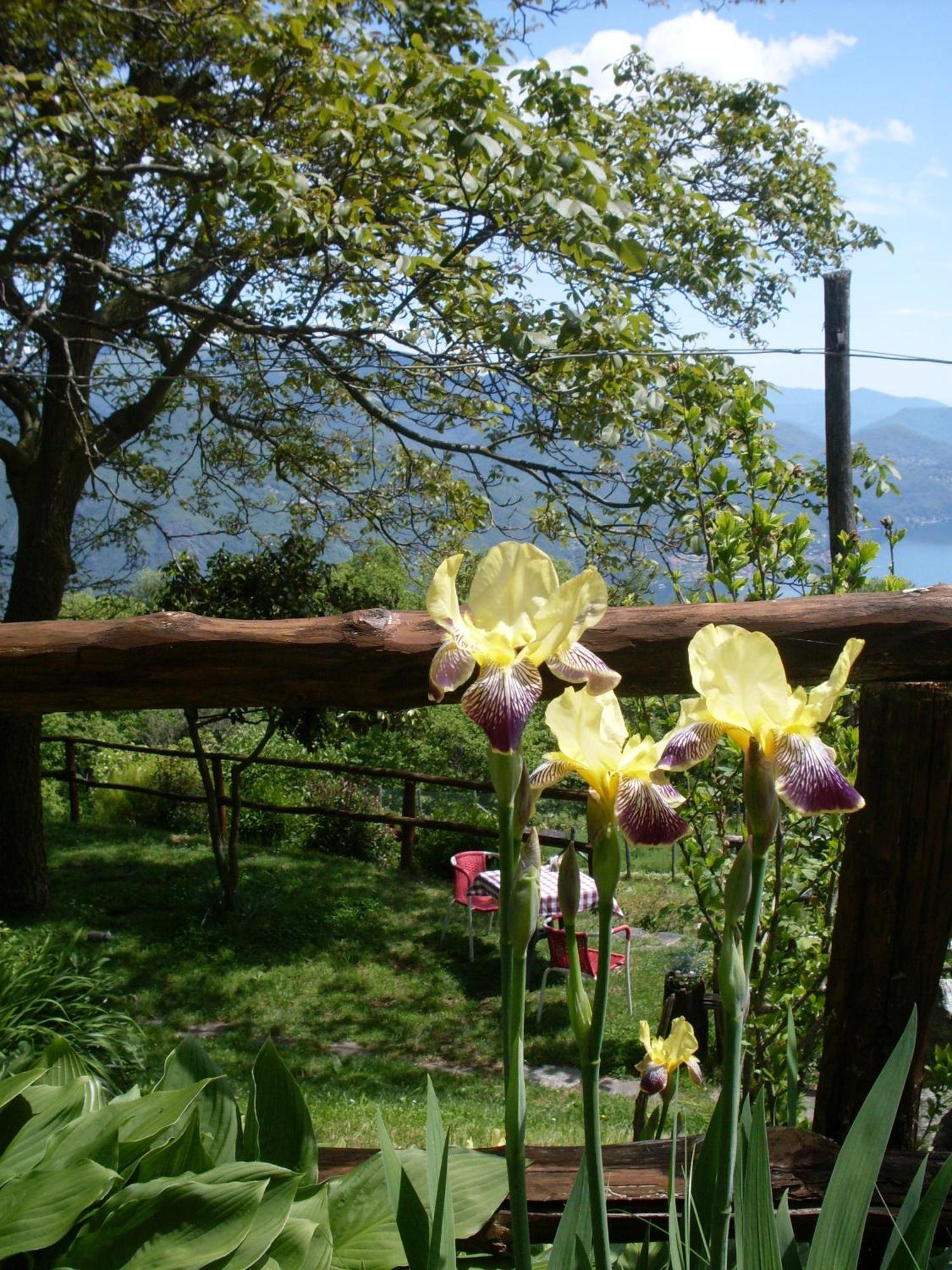 Agriturismo Da Attilio Cannobio Exterior photo