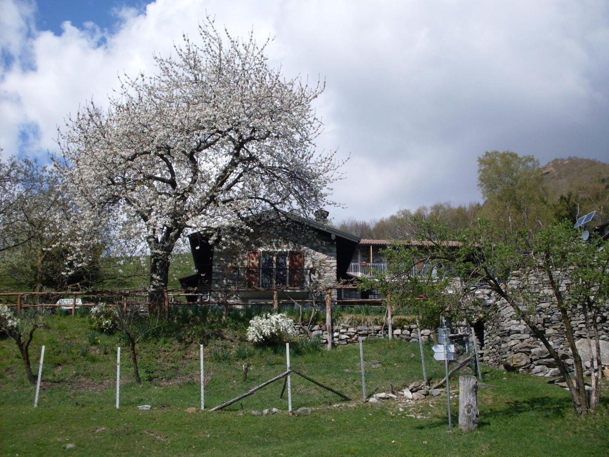 Agriturismo Da Attilio Cannobio Exterior photo