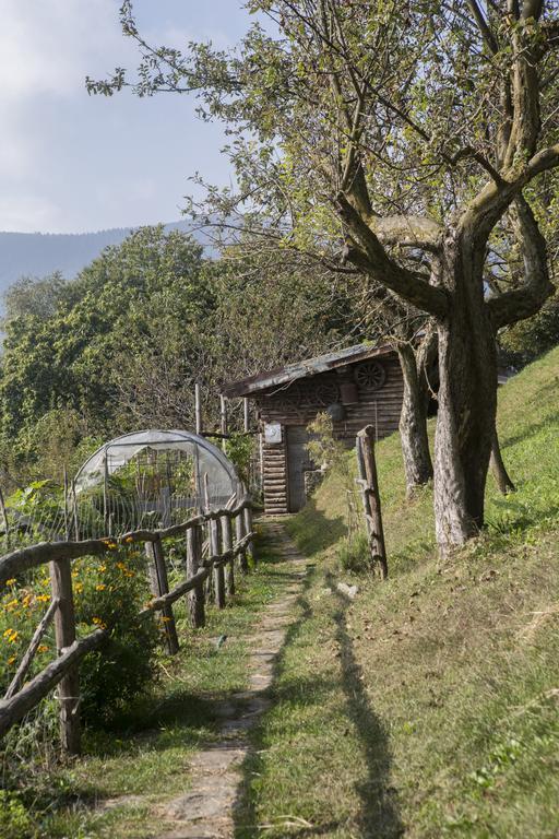 Agriturismo Da Attilio Cannobio Exterior photo